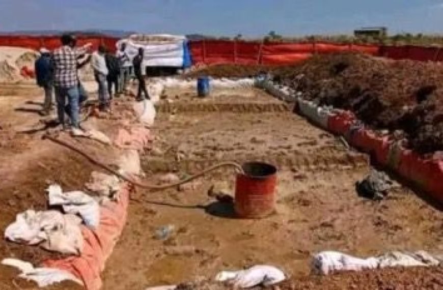 WhatsApp Image 2025-11-08 at 2.18.28 AM