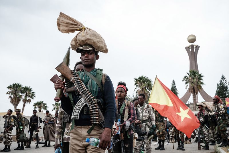 Tigray public diplomacy group calls for end to fighting in southern Tigray